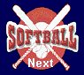 Next Great Softball Site